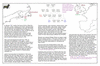 coo0e32 1767 back to newf_thumb.gif